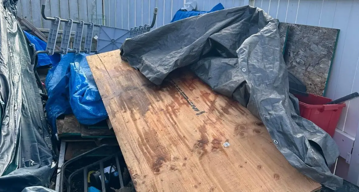 The Benefits of Hiring a Professional Junk Removal Company