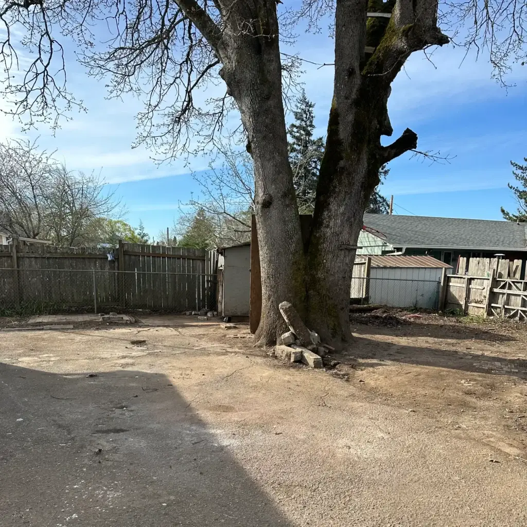 EZ Junk Hauling Commercial Cleanout