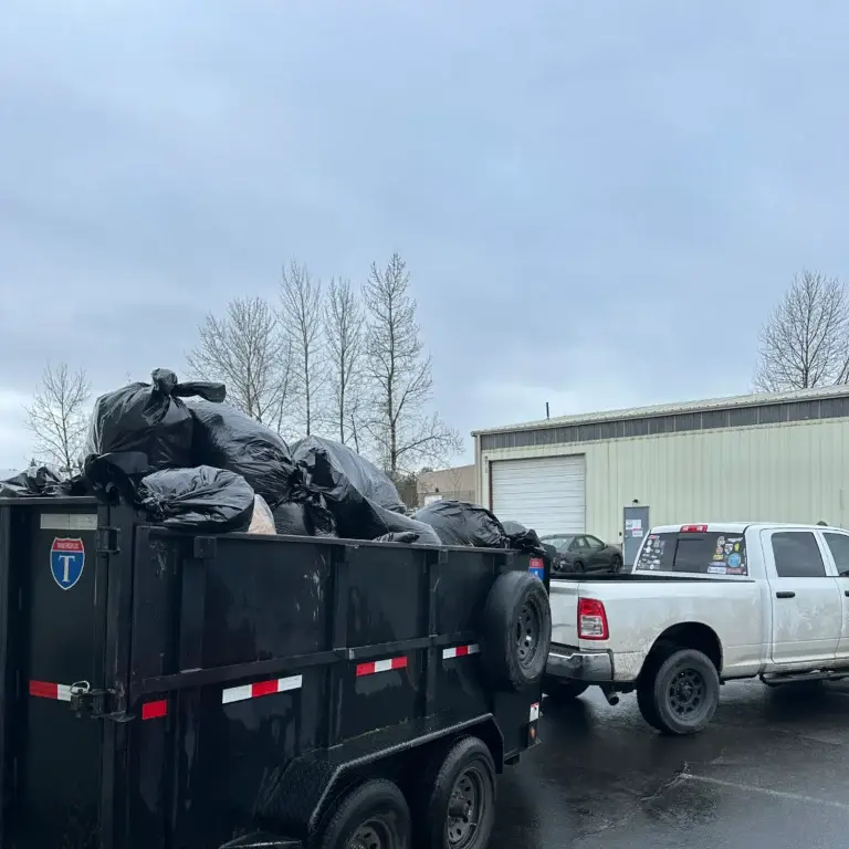 EZ Junk Hauling Debris Removal Service