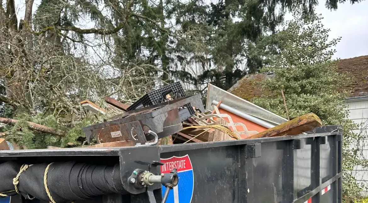 EZ Junk Hauling Outdoor Debris Removal