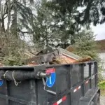 EZ Junk Hauling Outdoor Debris Removal