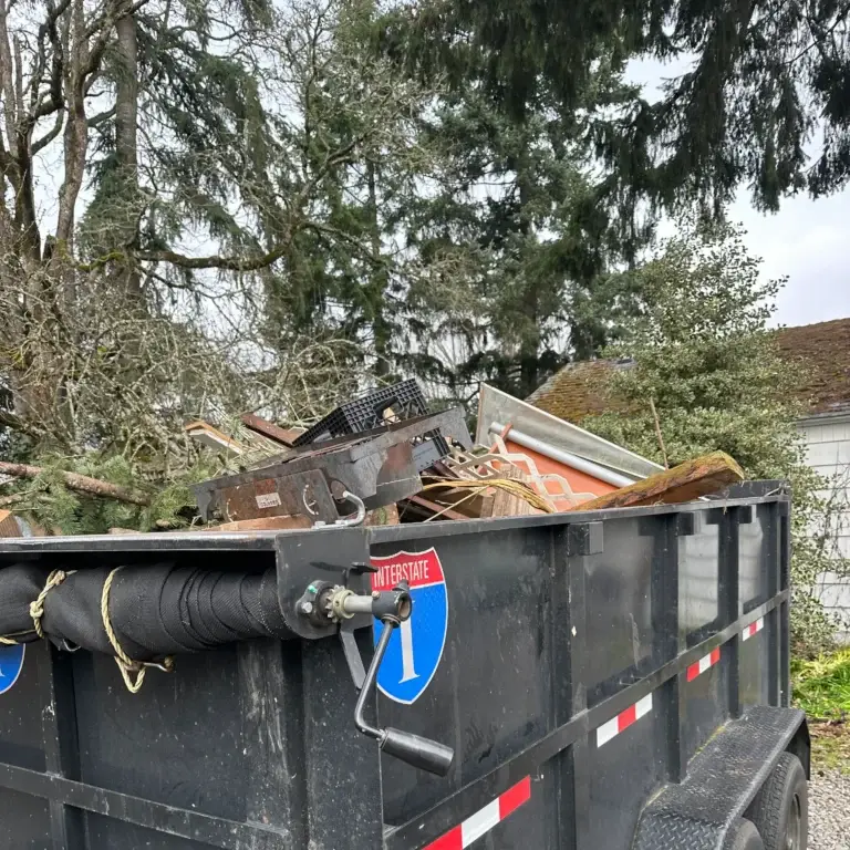 EZ Junk Hauling Outdoor Debris Removal