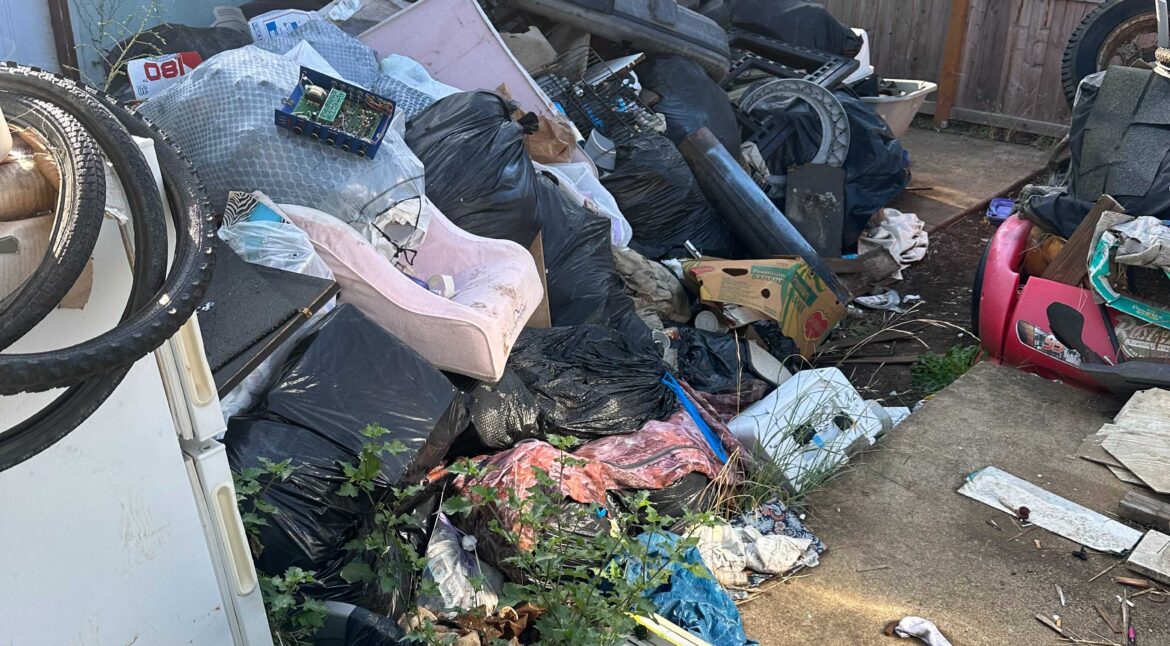Overgrown yard weeds cleared before and after by EZ Junk & Hauling in Salem, Oregon
