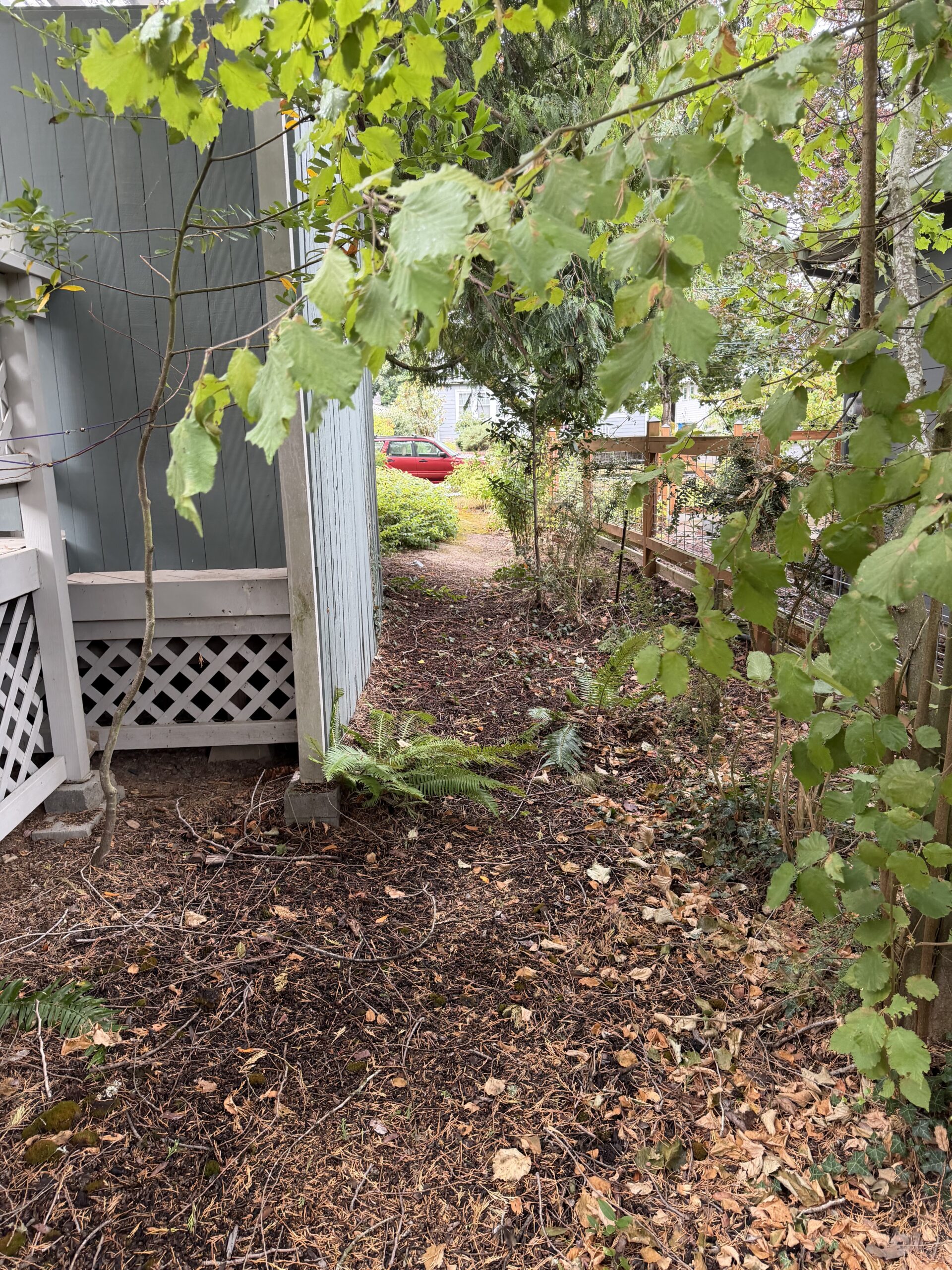 Narrow side-yard path used to haul hot tub pieces out to the trailer in Salem